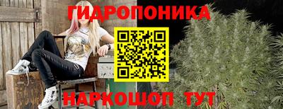гидра Аргун