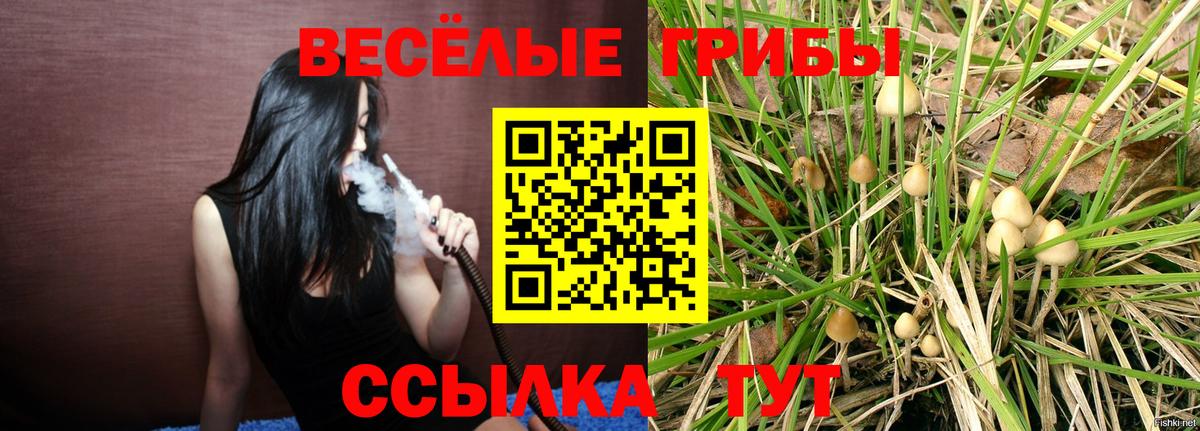 Галлюциногенные грибы прущие грибы Всеволожск