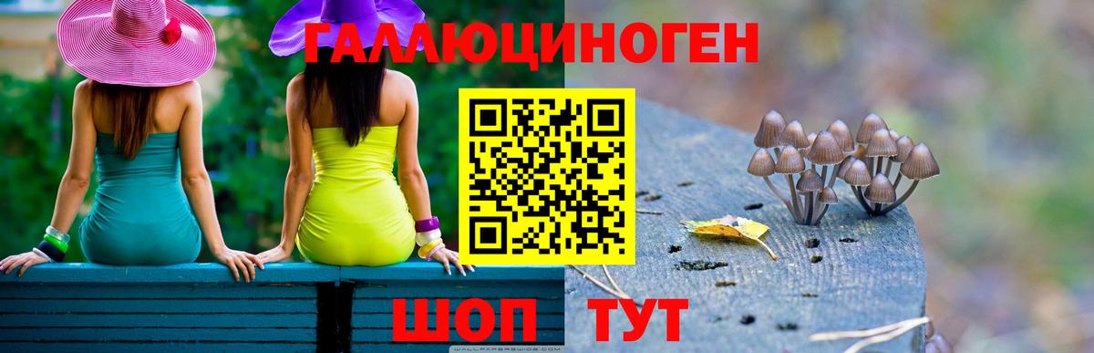 Всеволожск  Псилоцибиновые грибы GOLDEN TEACHER  продажа наркотиков  Вход с VPN 